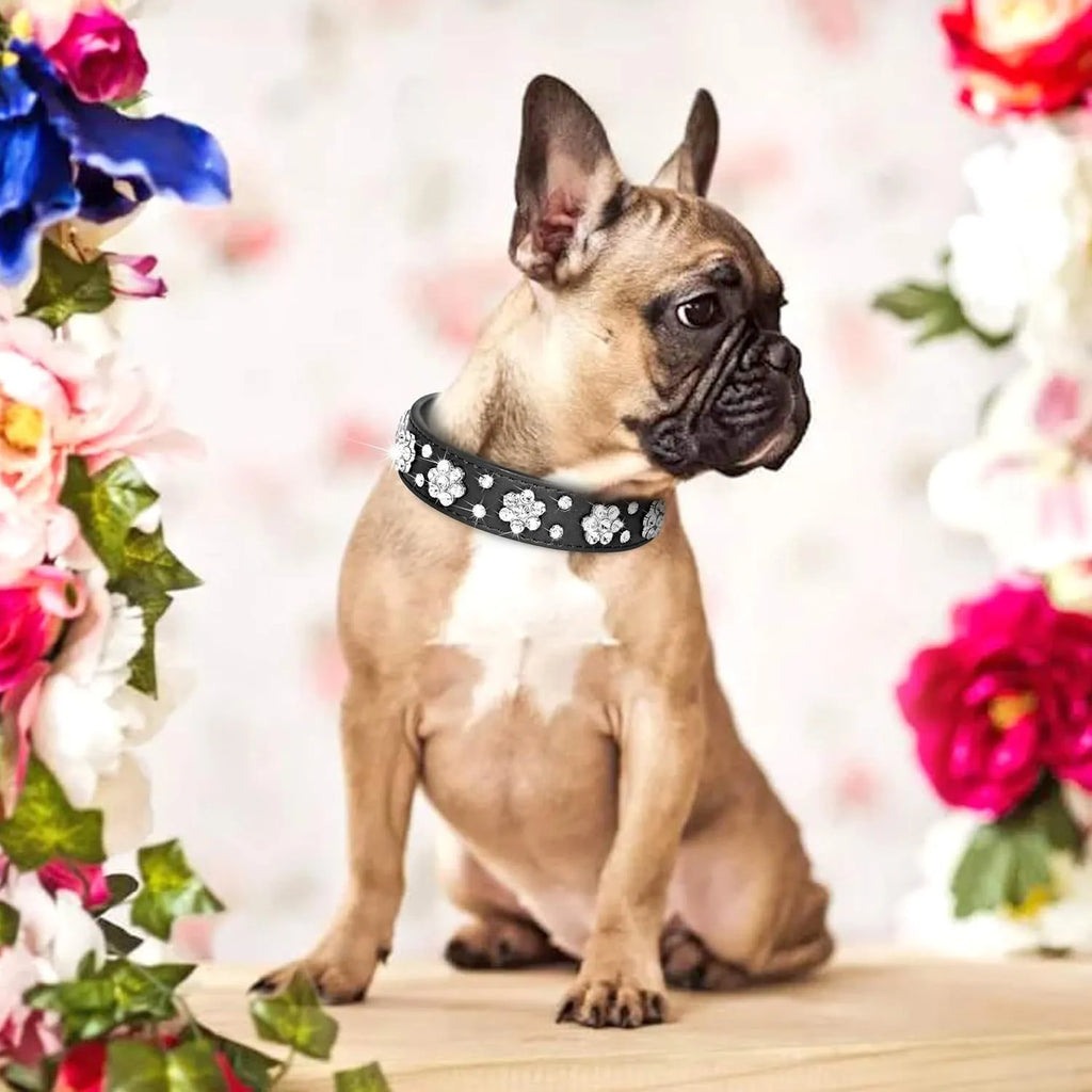 Black PU leather dog collar with rhinestone flowers and metal studs, showing the adjustable eyelets and D-ring.