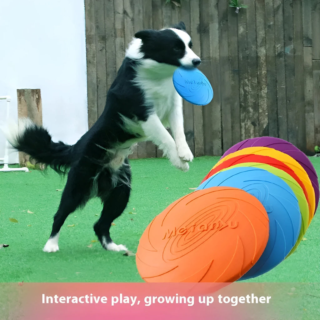Soft rubber dog flying disc toy in blue colour suitable for outdoor fetch games and walking sessions