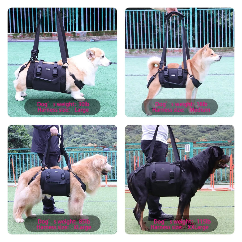 Black Oxford cloth dog harness with adjustable leg support shown in size options L, M, XL, XXL