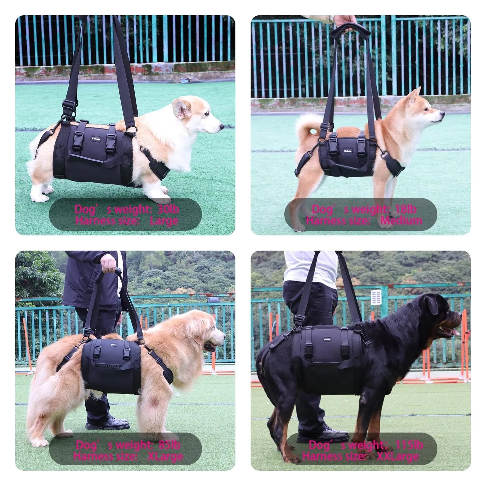 Black Oxford cloth dog harness with adjustable leg support shown in size options L, M, XL, XXL