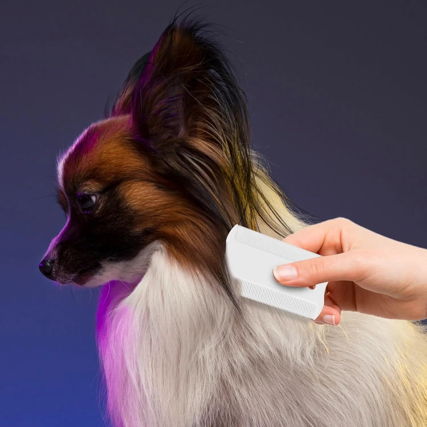 A small white plastic double-sided flea comb with dense teeth for dogs and cats.
