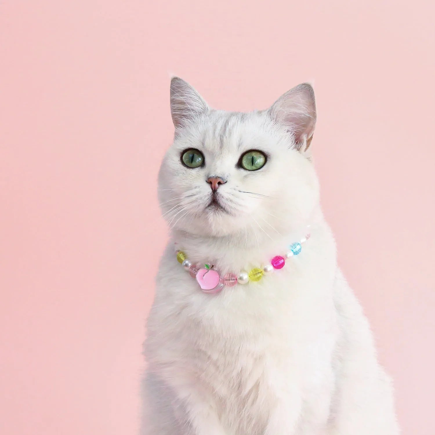 Colourful plastic pearl bead cat necklace with small flower, rainbow, or peach designs on a white background.