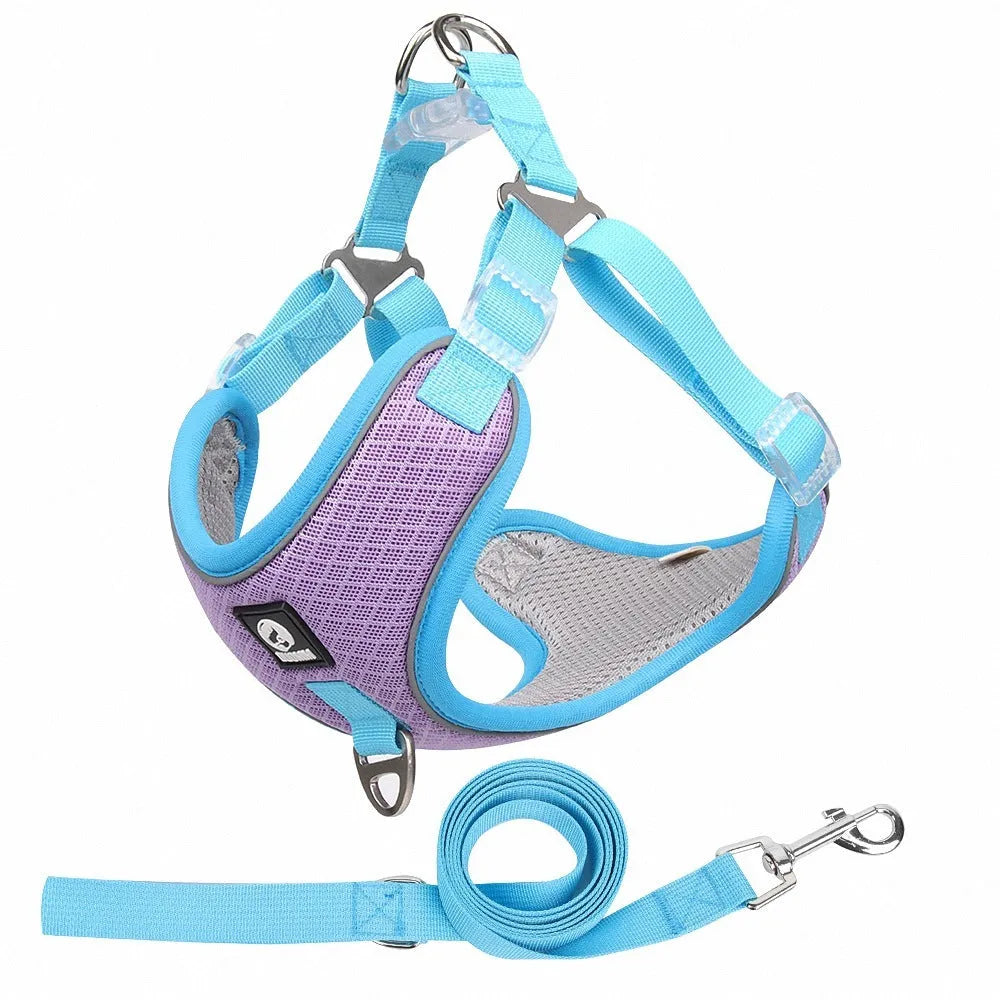Adjustable dog harness with reflective piping in black, red, gray or light purple colours